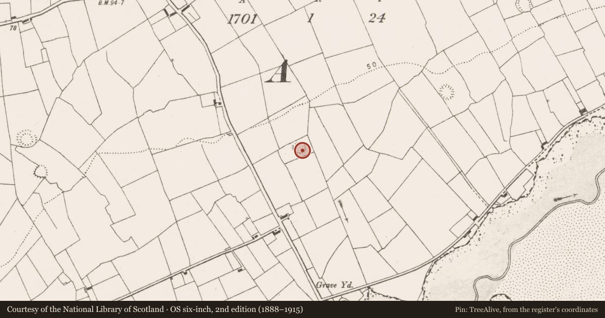 Ordnance Survey six-inch map, 2nd edition (1888–1915) covering the location of Ringfort - rath, Querrin, County Clare, with a pin at the register's coordinates