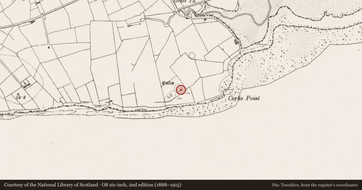 Ordnance Survey six-inch map, 2nd edition (1888–1915) covering the location of Ringfort - rath, Querrin, County Clare, with a pin at the register's coordinates