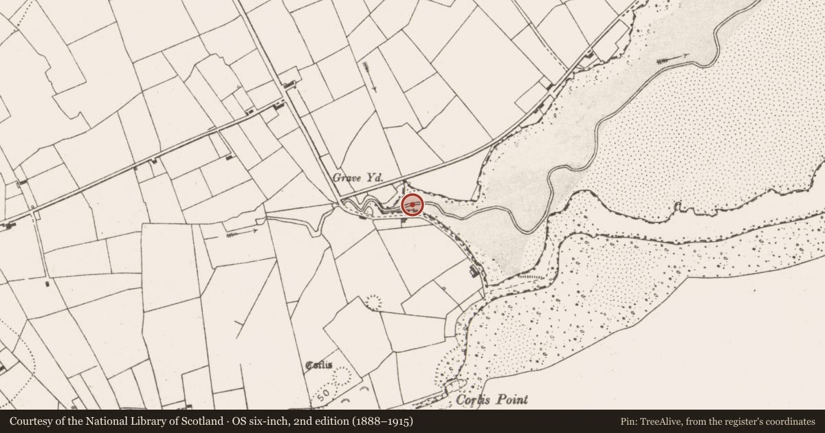 Ordnance Survey six-inch map, 2nd edition (1888–1915) covering the location of Ritual site - holy well, Querrin, County Clare, with a pin at the register's coordinates