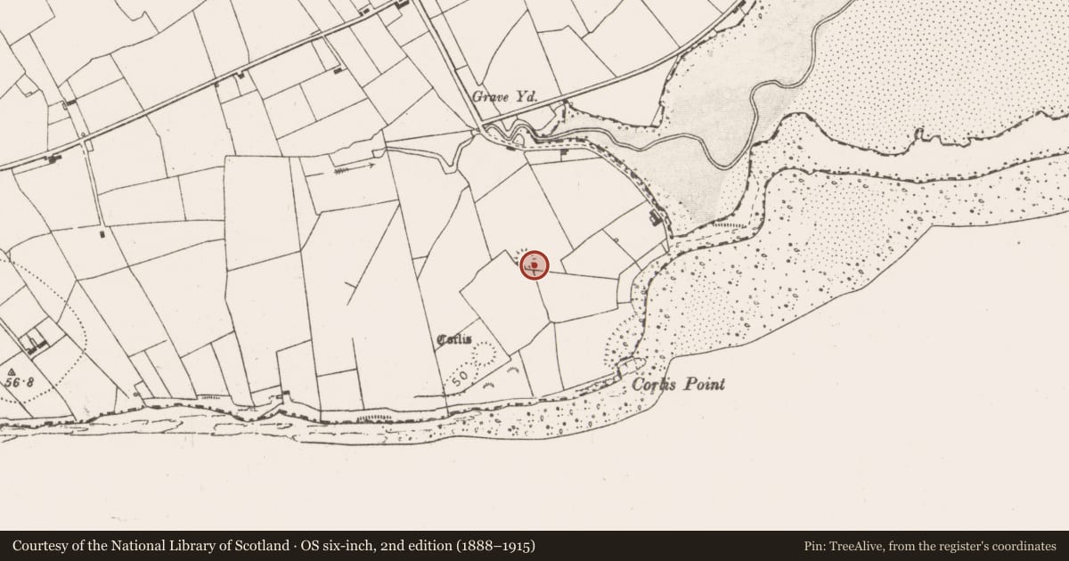 Ordnance Survey six-inch map, 2nd edition (1888–1915) covering the location of Ringfort - rath, Querrin, County Clare, with a pin at the register's coordinates