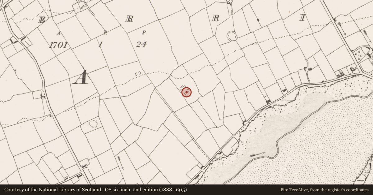 Ordnance Survey six-inch map, 2nd edition (1888–1915) covering the location of Ringfort - rath, Querrin, County Clare, with a pin at the register's coordinates