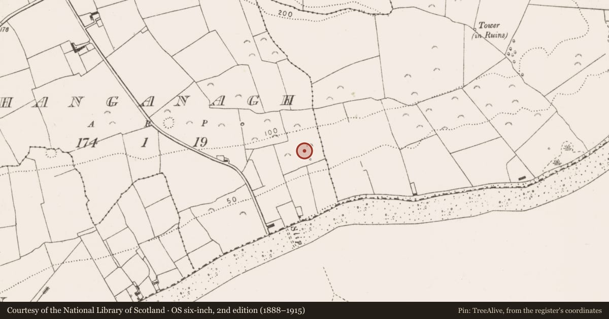 Ordnance Survey six-inch map, 2nd edition (1888–1915) covering the location of Hut site, Shanganagh, County Clare, with a pin at the register's coordinates