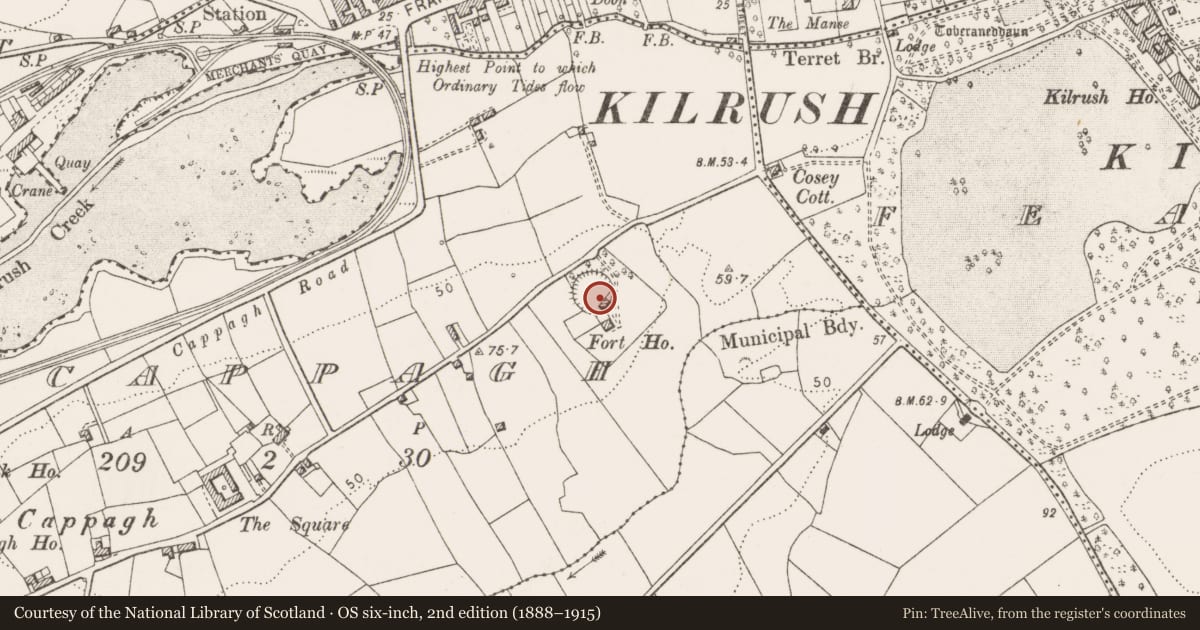 Ordnance Survey six-inch map, 2nd edition (1888–1915) covering the location of Ringfort - rath, Cappagh, County Clare, with a pin at the register's coordinates
