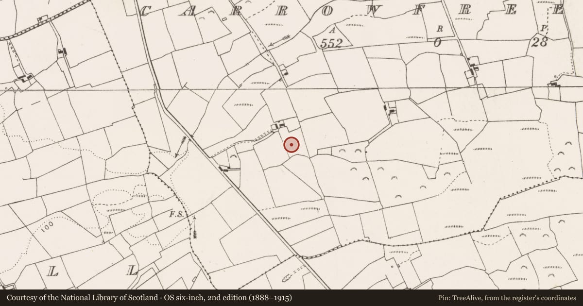 Ordnance Survey six-inch map, 2nd edition (1888–1915) covering the location of Enclosure, Molougha, County Clare, with a pin at the register's coordinates
