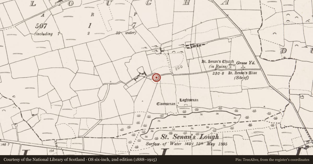Ordnance Survey six-inch map, 2nd edition (1888–1915) covering the location of Ringfort - rath, Molougha, County Clare, with a pin at the register's coordinates