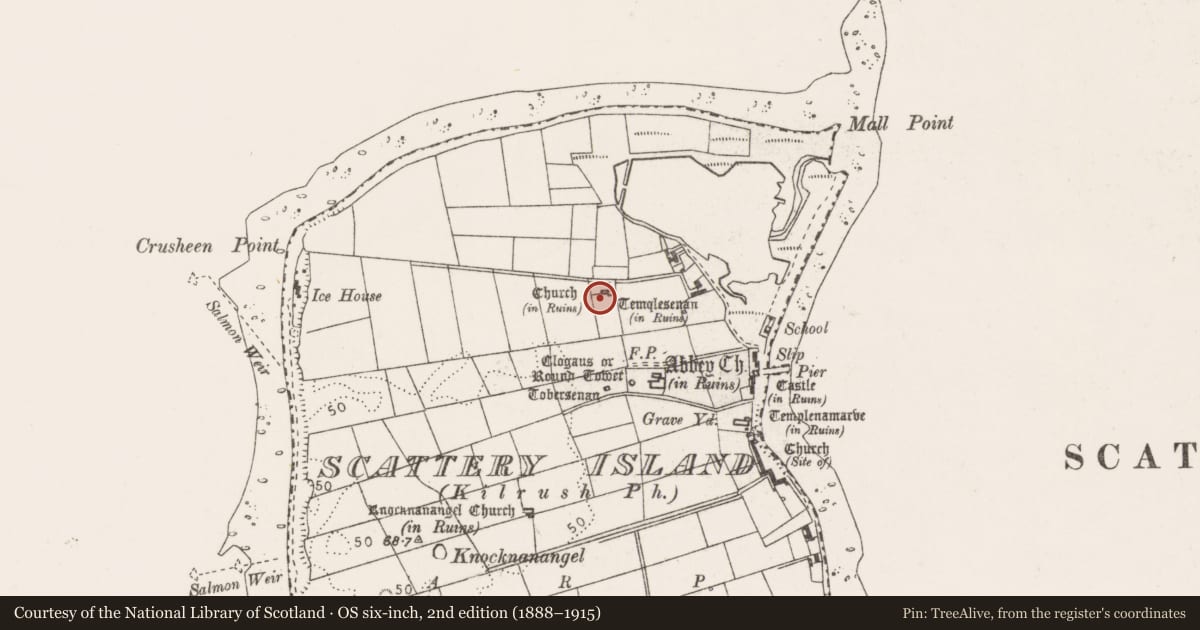 Ordnance Survey six-inch map, 2nd edition (1888–1915) covering the location of Church, Scattery Island, County Clare, with a pin at the register's coordinates