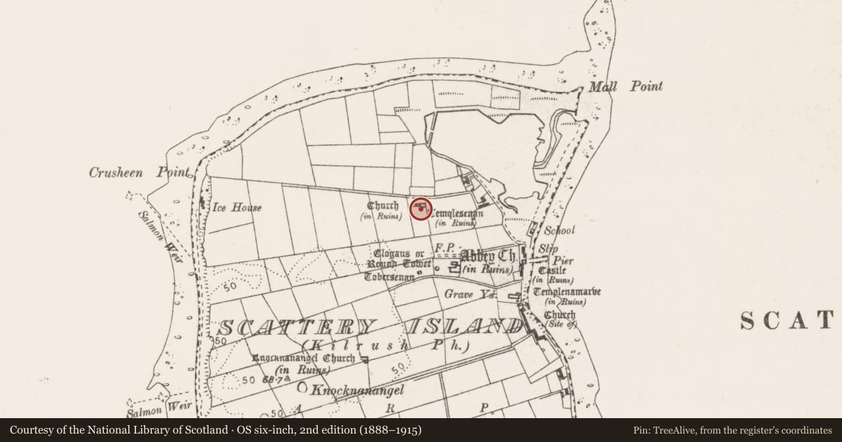 Ordnance Survey six-inch map, 2nd edition (1888–1915) covering the location of Church, Scattery Island, County Clare, with a pin at the register's coordinates
