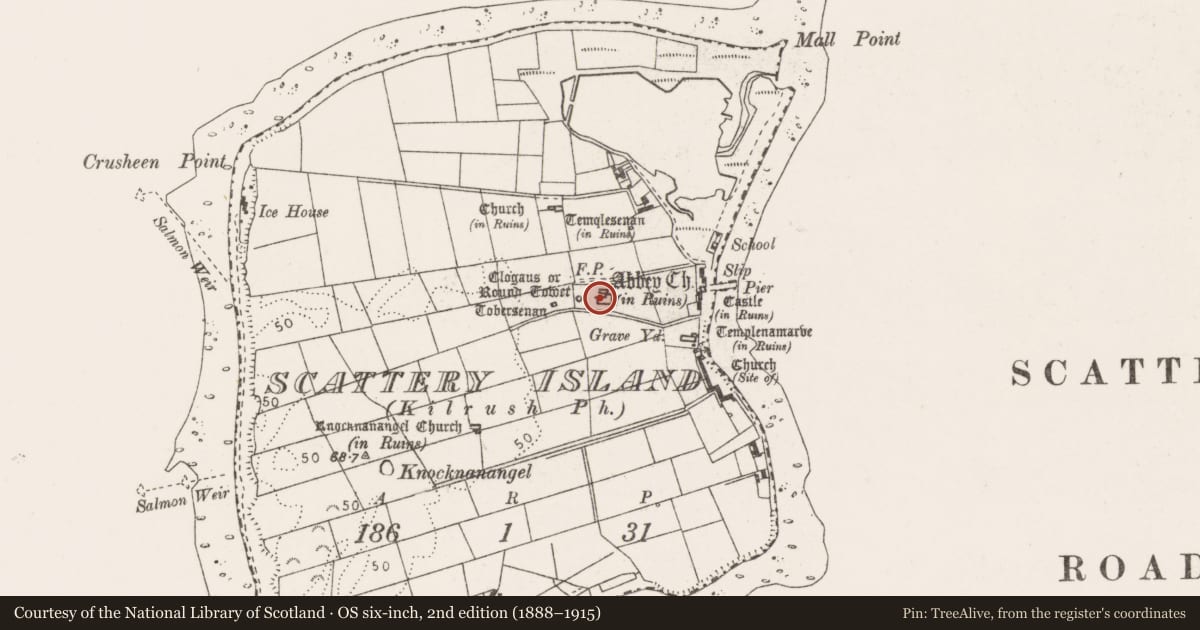 Ordnance Survey six-inch map, 2nd edition (1888–1915) covering the location of Church, Scattery Island, County Clare, with a pin at the register's coordinates