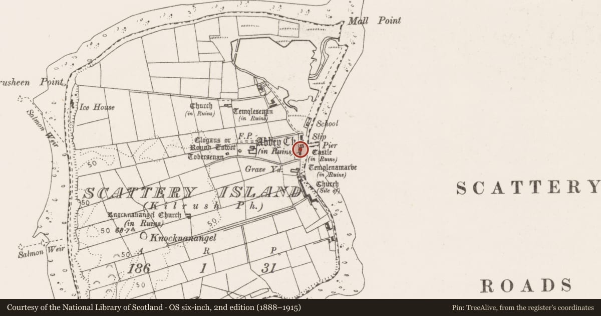 Ordnance Survey six-inch map, 2nd edition (1888–1915) covering the location of Castle - unclassified, Scattery Island, County Clare, with a pin at the register's coordinates