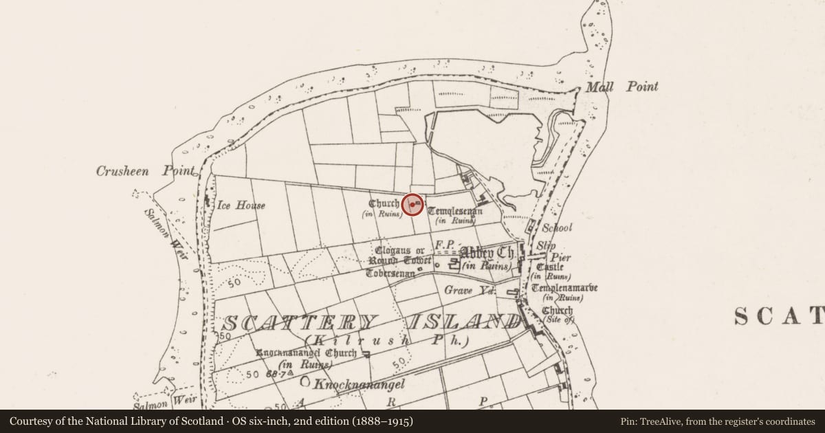 Ordnance Survey six-inch map, 2nd edition (1888–1915) covering the location of Cross-slab, Scattery Island, County Clare, with a pin at the register's coordinates