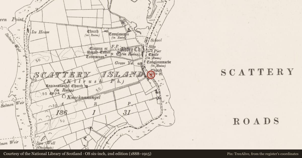 Ordnance Survey six-inch map, 2nd edition (1888–1915) covering the location of Excavation - miscellaneous, Scattery Island, County Clare, with a pin at the register's coordinates