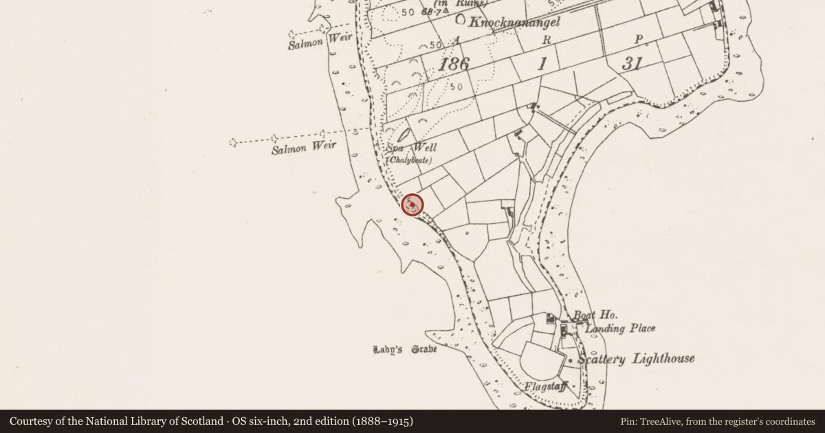 Ordnance Survey six-inch map, 2nd edition (1888–1915) covering the location of Kiln, Scattery Island, County Clare, with a pin at the register's coordinates