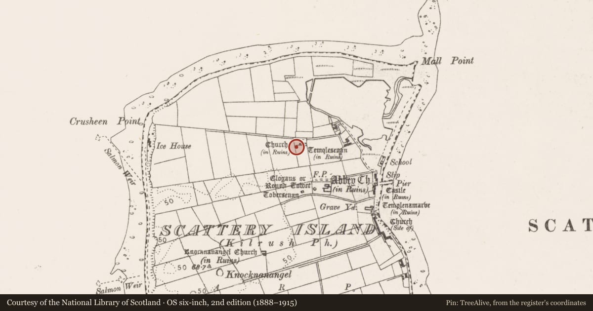 Ordnance Survey six-inch map, 2nd edition (1888–1915) covering the location of Cross-slab, Scattery Island, County Clare, with a pin at the register's coordinates
