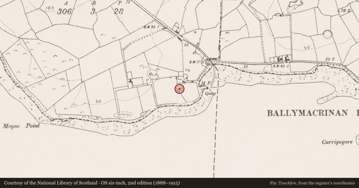 Ordnance Survey six-inch map, 2nd edition (1888–1915) covering the location of Ringfort - rath, Moyne, County Clare, with a pin at the register's coordinates