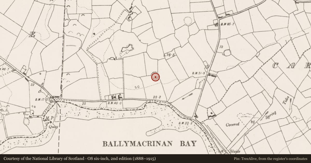 Ordnance Survey six-inch map, 2nd edition (1888–1915) covering the location of Ringfort - rath, Ballymacrinan, County Clare, with a pin at the register's coordinates