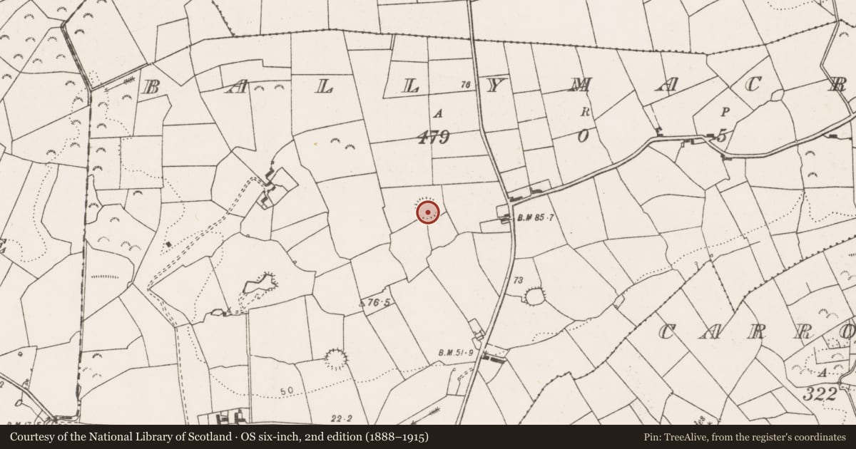 Ordnance Survey six-inch map, 2nd edition (1888–1915) covering the location of Ringfort - rath, Ballymacrinan, County Clare, with a pin at the register's coordinates