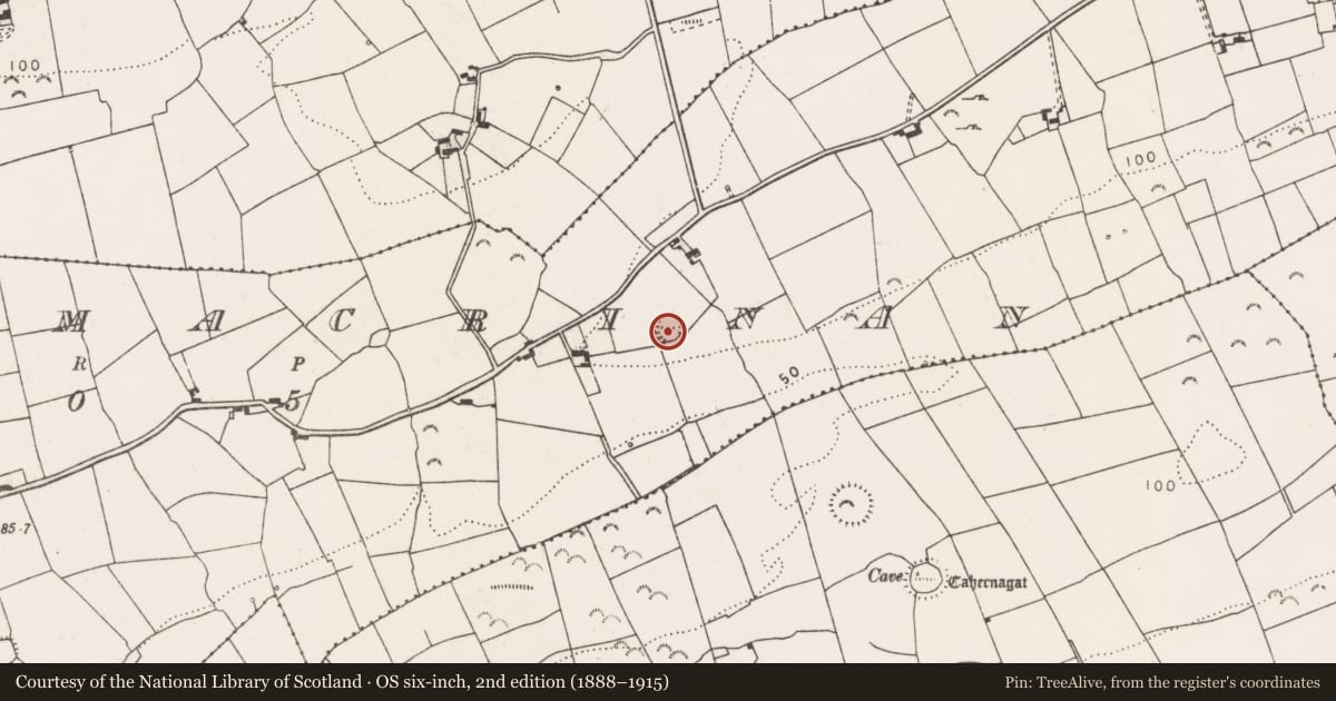 Ordnance Survey six-inch map, 2nd edition (1888–1915) covering the location of Ringfort - rath, Ballymacrinan, County Clare, with a pin at the register's coordinates