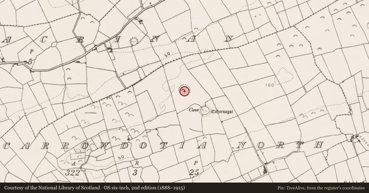 Ordnance Survey six-inch map, 2nd edition (1888–1915) covering the location of Ringfort - rath, Carrowdotia North, County Clare, with a pin at the register's coordinates