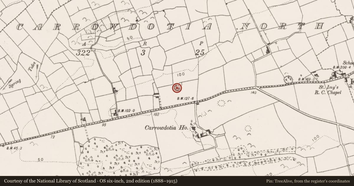 Ordnance Survey six-inch map, 2nd edition (1888–1915) covering the location of Ringfort - rath, Carrowdotia North, County Clare, with a pin at the register's coordinates
