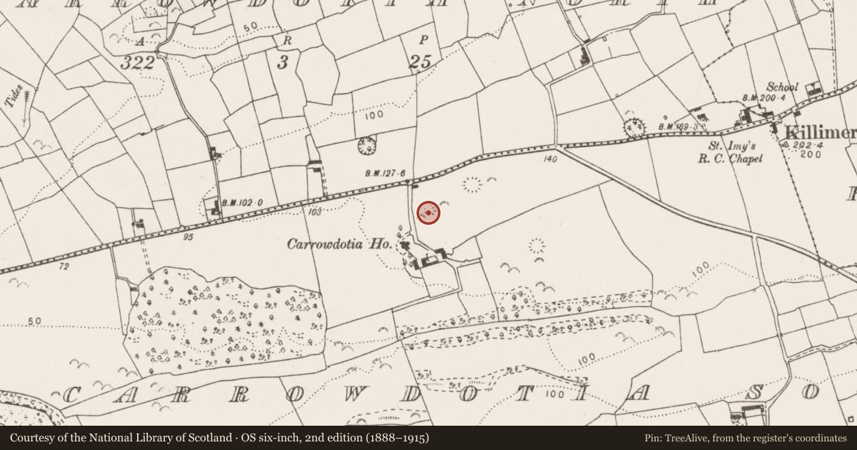 Ordnance Survey six-inch map, 2nd edition (1888–1915) covering the location of Ringfort - rath, Carrowdotia South, County Clare, with a pin at the register's coordinates