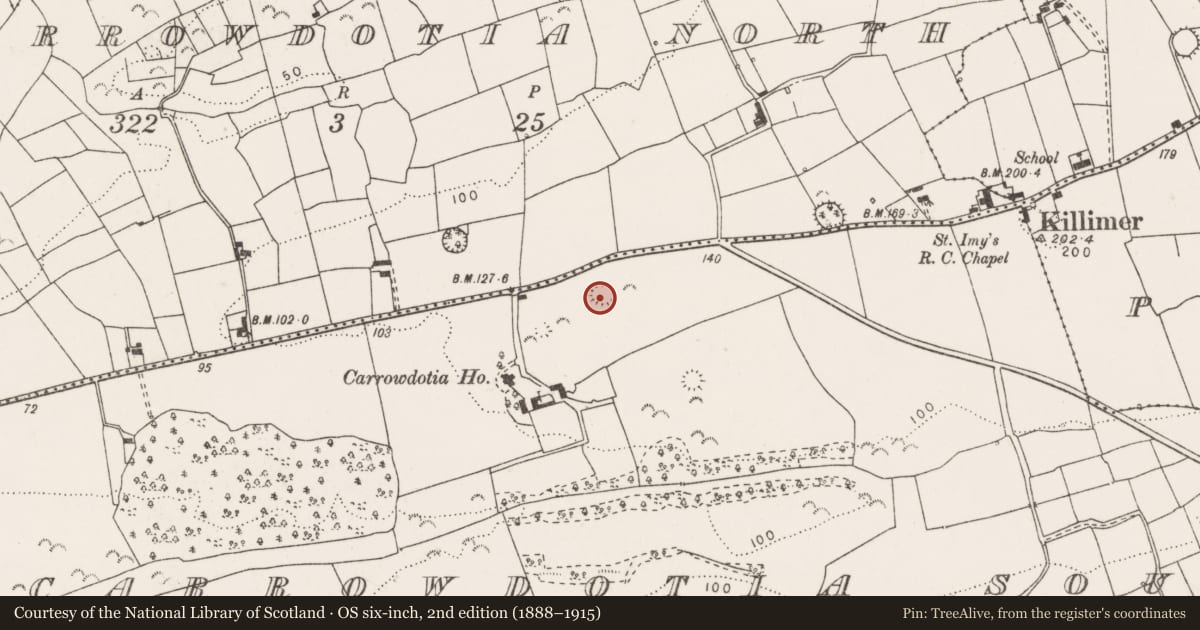 Ordnance Survey six-inch map, 2nd edition (1888–1915) covering the location of Ringfort - rath, Carrowdotia South, County Clare, with a pin at the register's coordinates