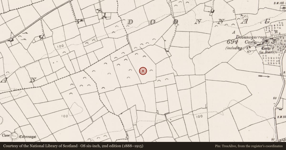 Ordnance Survey six-inch map, 2nd edition (1888–1915) covering the location of Ringfort - rath, Doonnagurroge, County Clare, with a pin at the register's coordinates