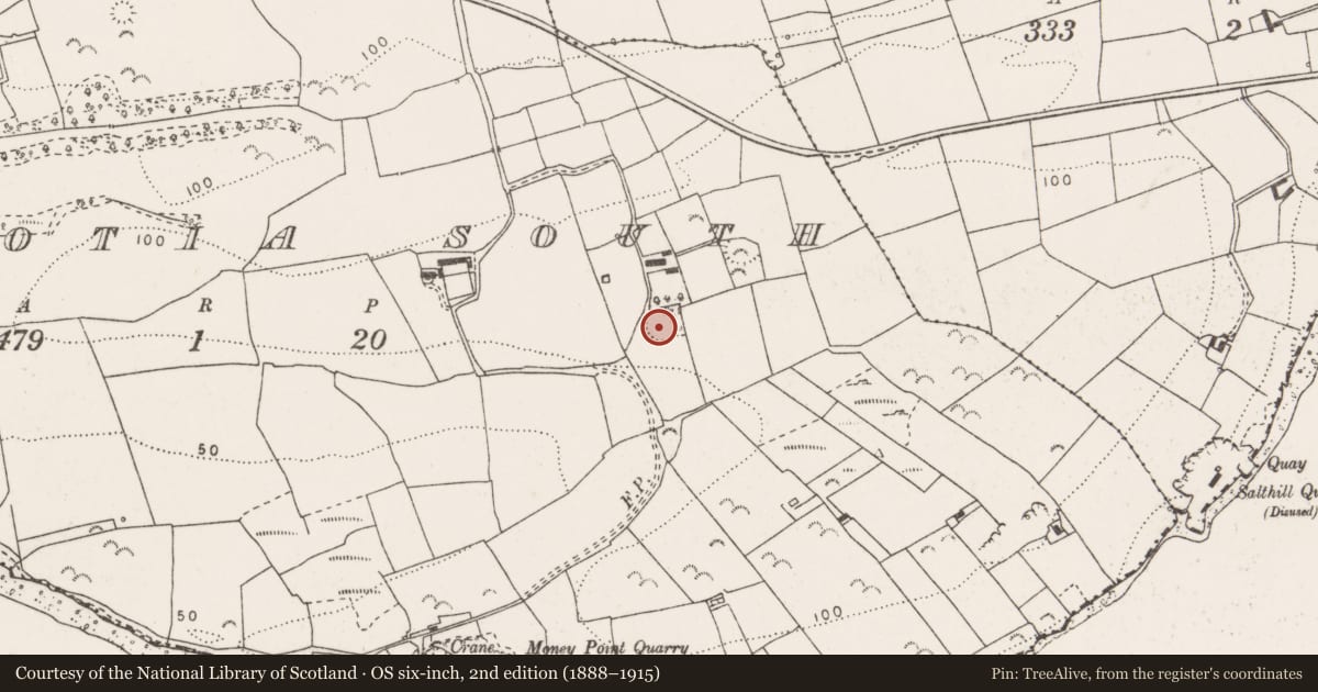 Ordnance Survey six-inch map, 2nd edition (1888–1915) covering the location of Ringfort - rath, Carrowdotia South, County Clare, with a pin at the register's coordinates