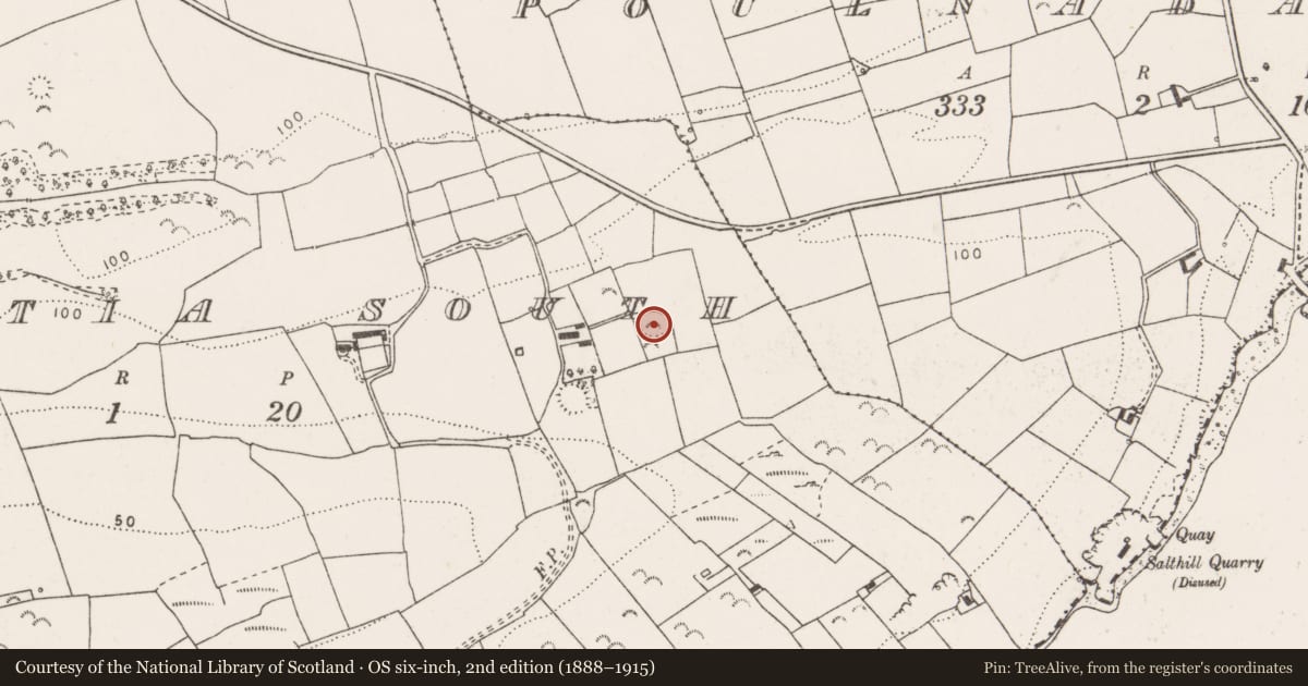 Ordnance Survey six-inch map, 2nd edition (1888–1915) covering the location of Ringfort - rath, Carrowdotia South, County Clare, with a pin at the register's coordinates