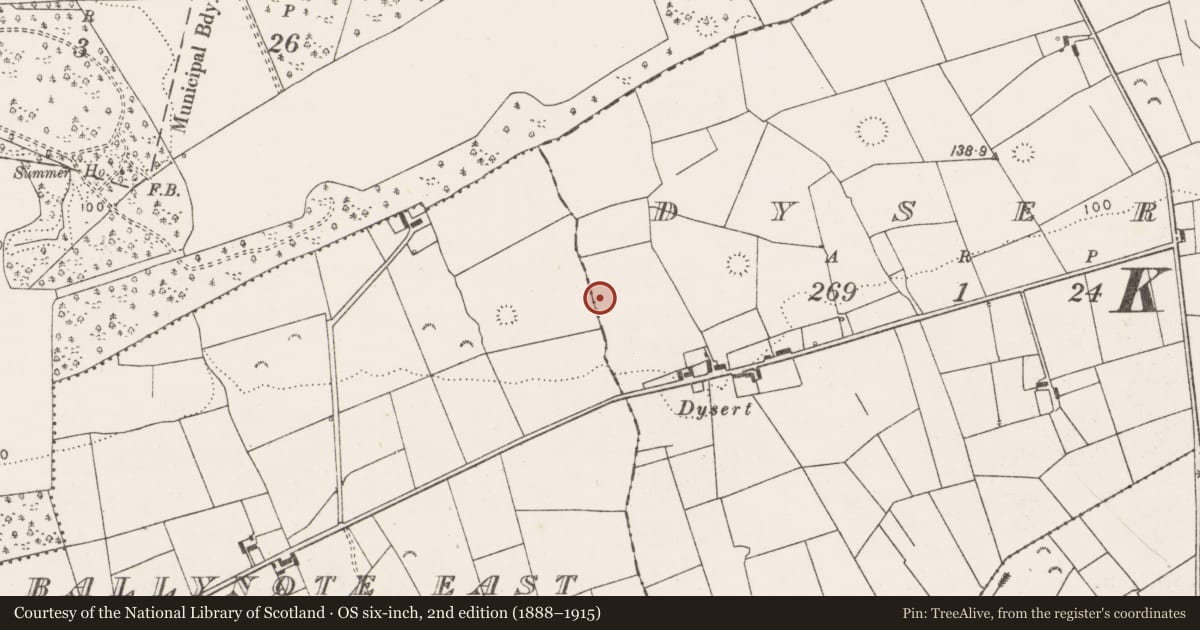 Ordnance Survey six-inch map, 2nd edition (1888–1915) covering the location of Quarry, Dysert, County Clare, with a pin at the register's coordinates