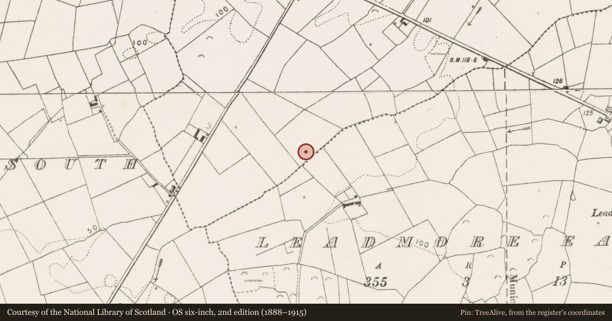 Ordnance Survey six-inch map, 2nd edition (1888–1915) covering the location of Fulacht fia, Carnaun, County Clare, with a pin at the register's coordinates