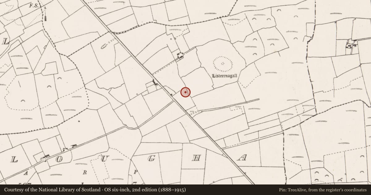 Ordnance Survey six-inch map, 2nd edition (1888–1915) covering the location of Fulacht fia, Molougha, County Clare, with a pin at the register's coordinates