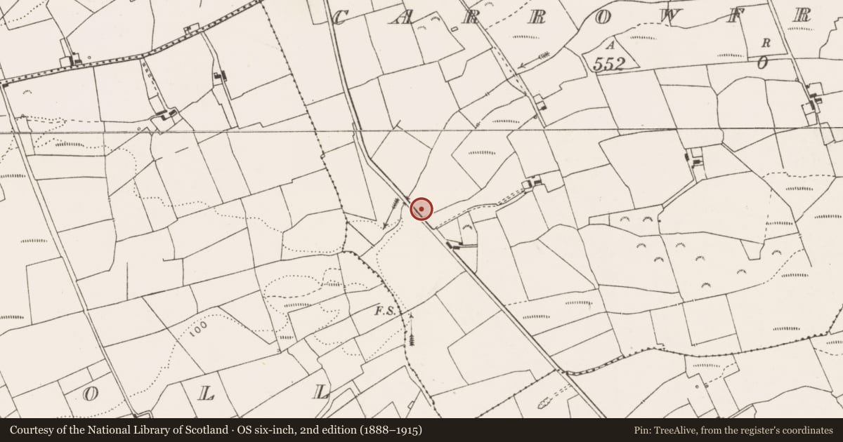 Ordnance Survey six-inch map, 2nd edition (1888–1915) covering the location of Fulacht fia, Carrowfree, County Clare, with a pin at the register's coordinates