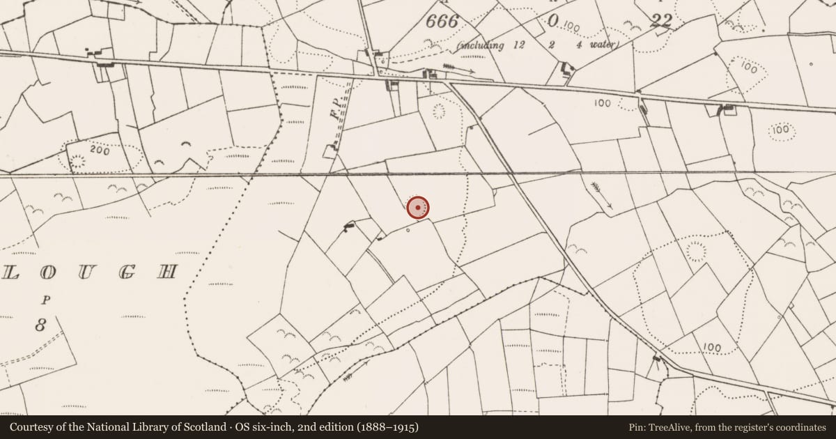 Ordnance Survey six-inch map, 2nd edition (1888–1915) covering the location of Ringfort - rath, Tarmon, County Clare, with a pin at the register's coordinates