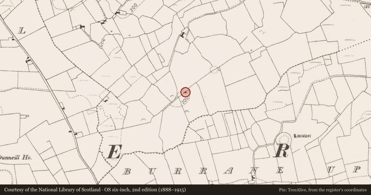 Ordnance Survey six-inch map, 2nd edition (1888–1915) covering the location of Ringfort - rath, Tonavoher, County Clare, with a pin at the register's coordinates