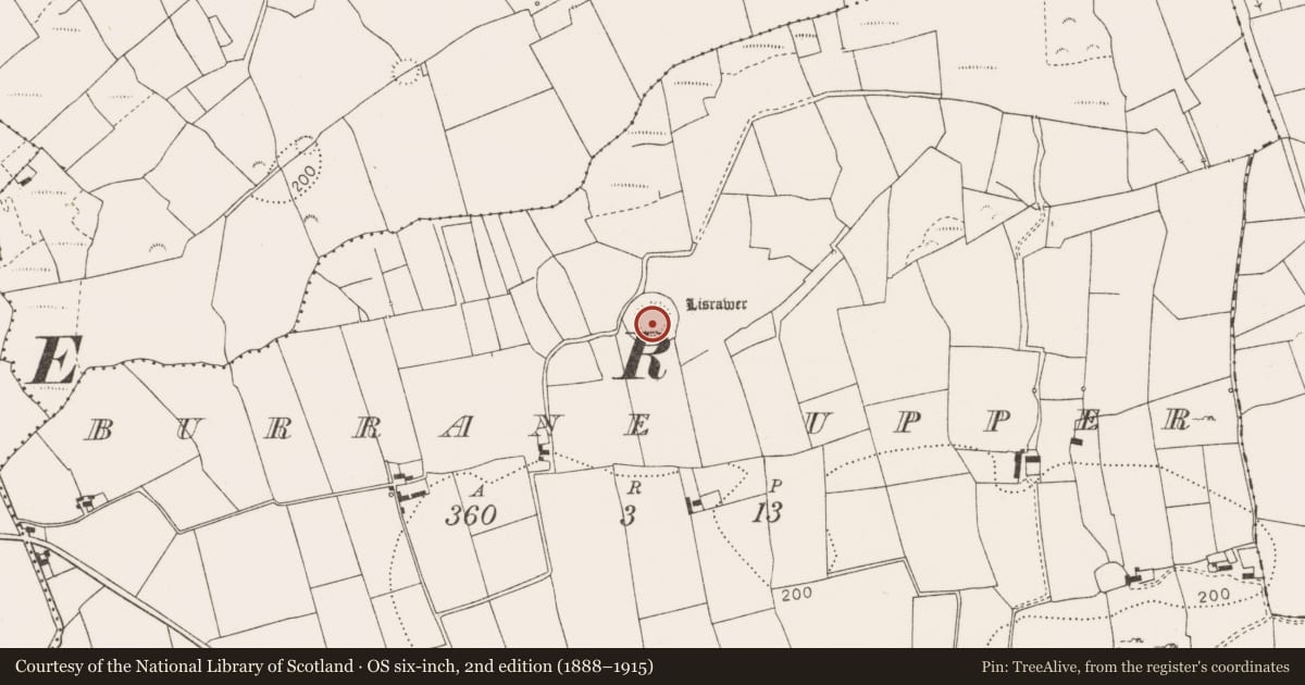 Ordnance Survey six-inch map, 2nd edition (1888–1915) covering the location of Ringfort - rath, Burrane Upper, County Clare, with a pin at the register's coordinates