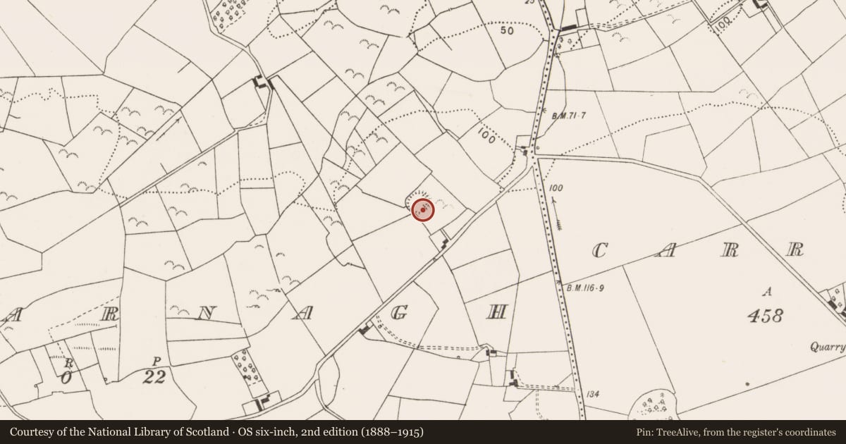 Ordnance Survey six-inch map, 2nd edition (1888–1915) covering the location of Ringfort - rath, Cassarnagh, County Clare, with a pin at the register's coordinates