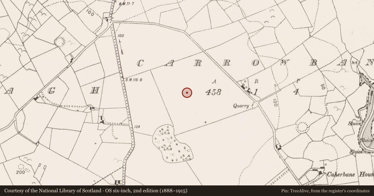 Ordnance Survey six-inch map, 2nd edition (1888–1915) covering the location of Ringfort - rath, Carrowbane, County Clare, with a pin at the register's coordinates