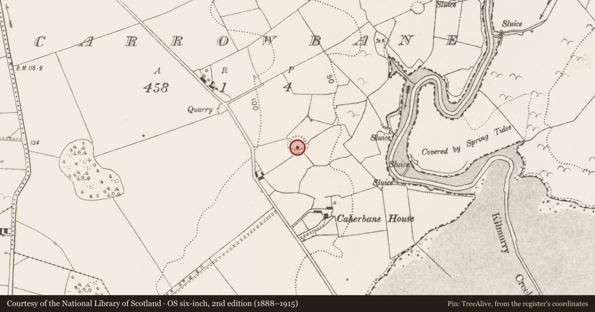 Ordnance Survey six-inch map, 2nd edition (1888–1915) covering the location of Ringfort - rath, Carrowbane, County Clare, with a pin at the register's coordinates