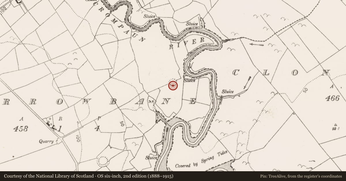 Ordnance Survey six-inch map, 2nd edition (1888–1915) covering the location of Ringfort - rath, Carrowbane, County Clare, with a pin at the register's coordinates