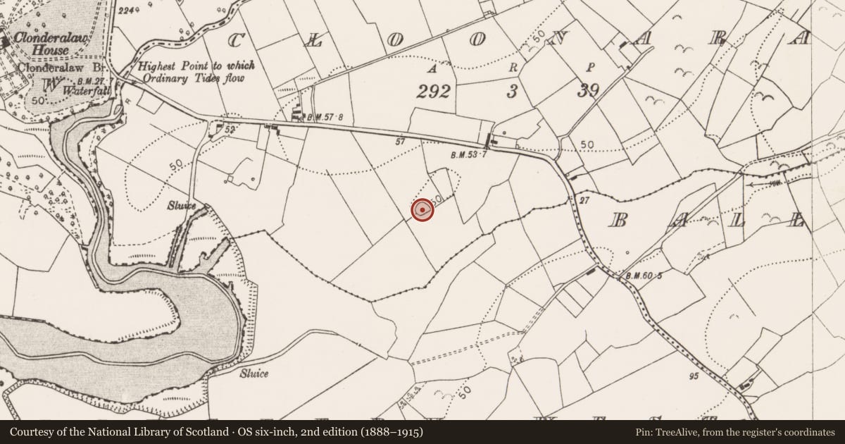 Ordnance Survey six-inch map, 2nd edition (1888–1915) covering the location of Ringfort - rath, Cloonarass, County Clare, with a pin at the register's coordinates