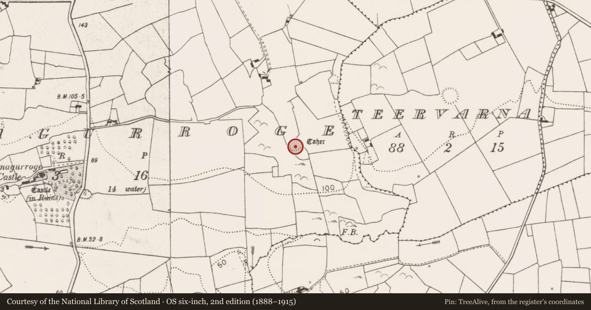 Ordnance Survey six-inch map, 2nd edition (1888–1915) covering the location of Ringfort - rath, Doonnagurroge, County Clare, with a pin at the register's coordinates