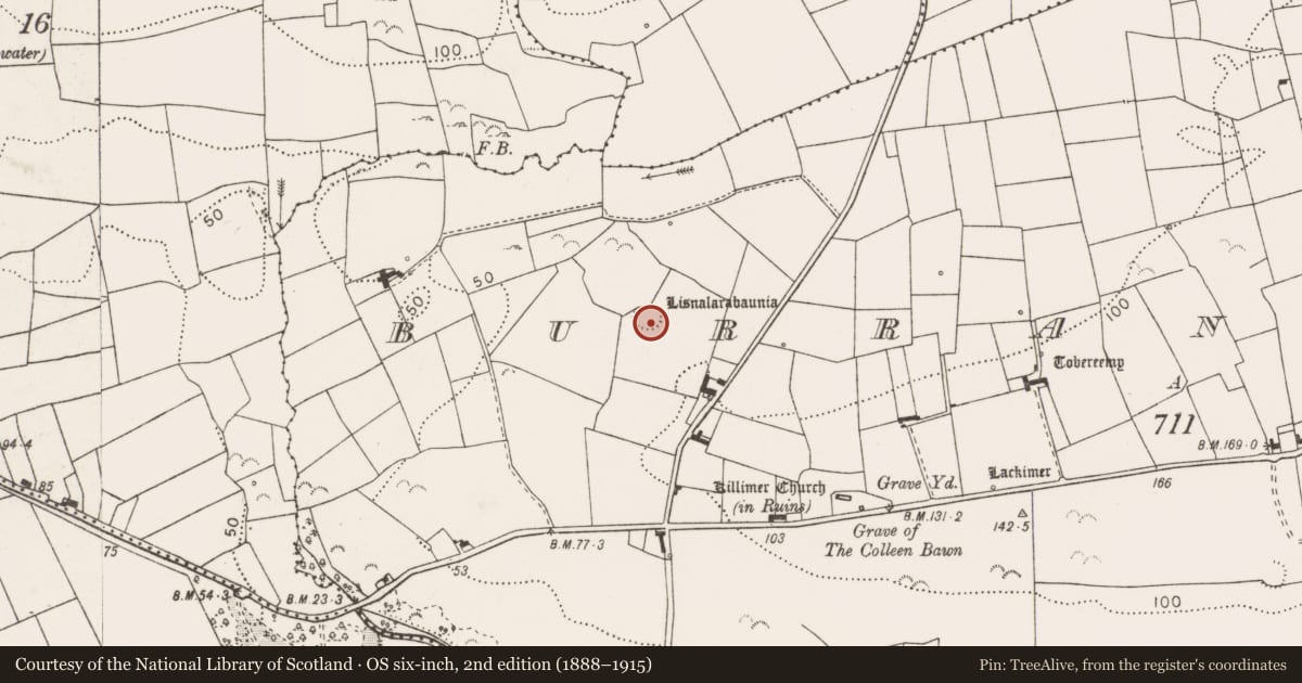 Ordnance Survey six-inch map, 2nd edition (1888–1915) covering the location of Ringfort - rath, Burrane Lower, County Clare, with a pin at the register's coordinates