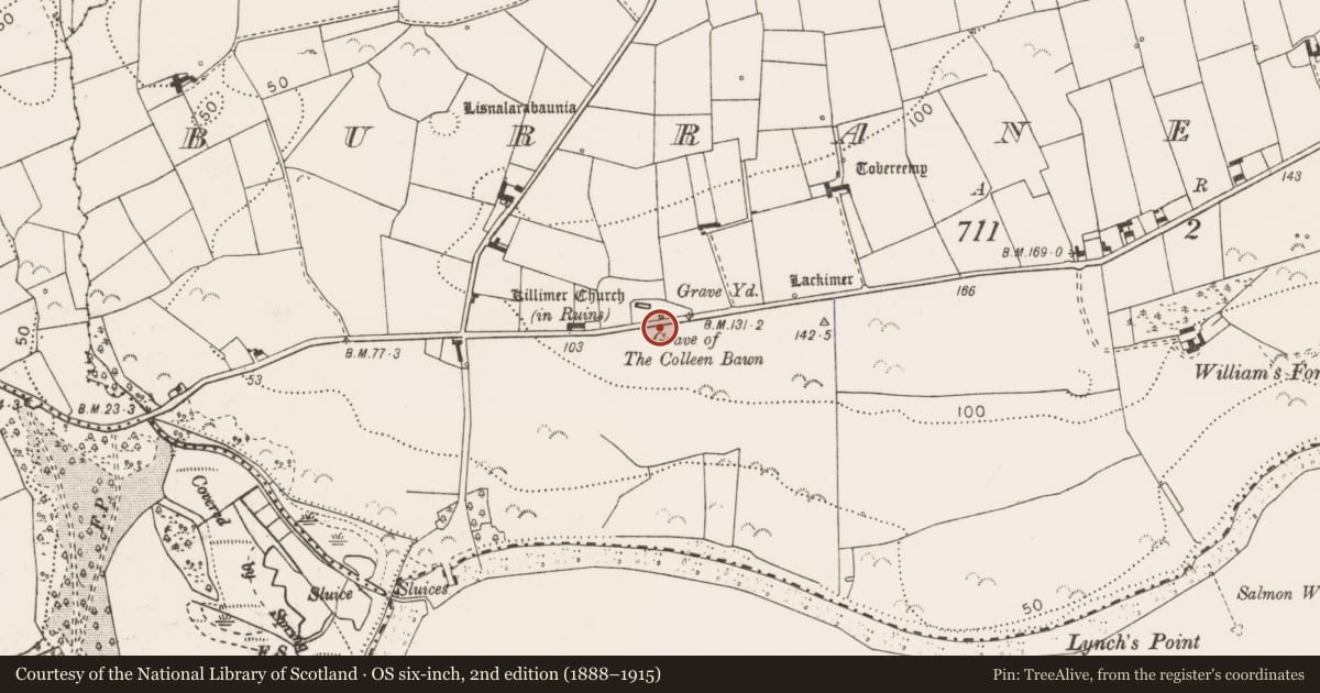 Ordnance Survey six-inch map, 2nd edition (1888–1915) covering the location of Graveyard, Burrane Lower, County Clare, with a pin at the register's coordinates