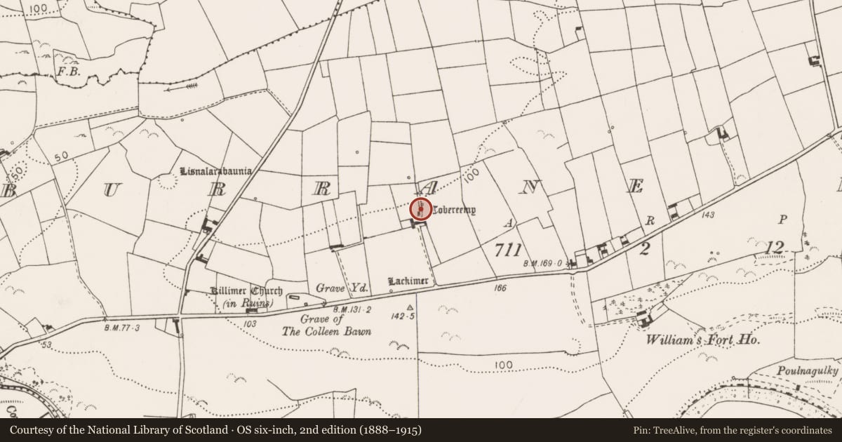 Ordnance Survey six-inch map, 2nd edition (1888–1915) covering the location of Ritual site - holy well, Burrane Lower, County Clare, with a pin at the register's coordinates