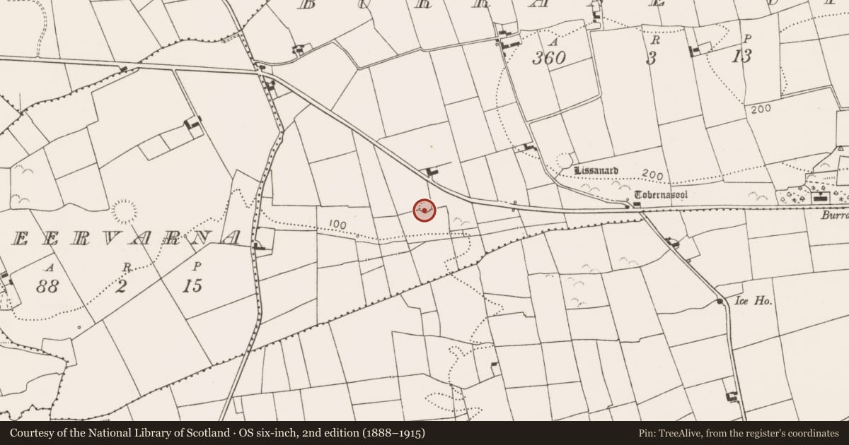 Ordnance Survey six-inch map, 2nd edition (1888–1915) covering the location of Ringfort - rath, Burrane Upper, County Clare, with a pin at the register's coordinates