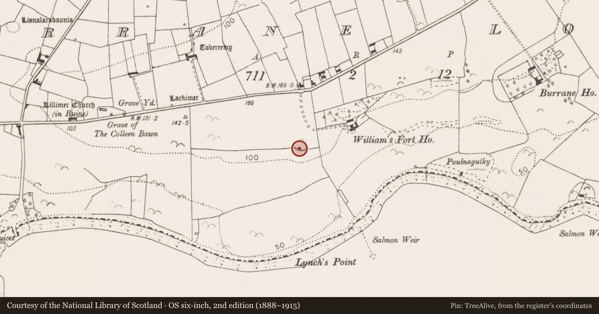 Ordnance Survey six-inch map, 2nd edition (1888–1915) covering the location of Ringfort - cashel, Burrane Lower, County Clare, with a pin at the register's coordinates