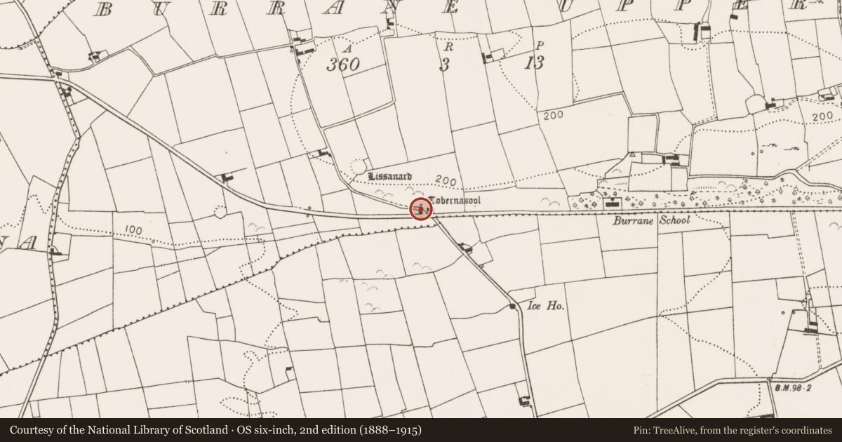 Ordnance Survey six-inch map, 2nd edition (1888–1915) covering the location of Ritual site - holy well, Burrane Upper, County Clare, with a pin at the register's coordinates