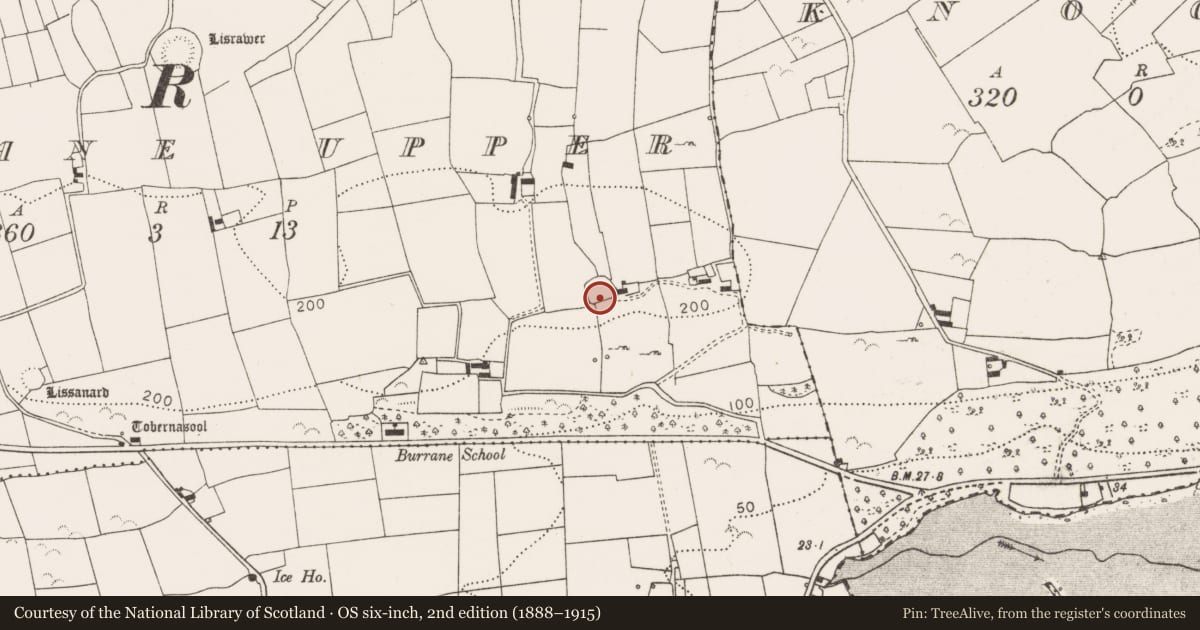 Ordnance Survey six-inch map, 2nd edition (1888–1915) covering the location of Ringfort - cashel, Burrane Upper, County Clare, with a pin at the register's coordinates