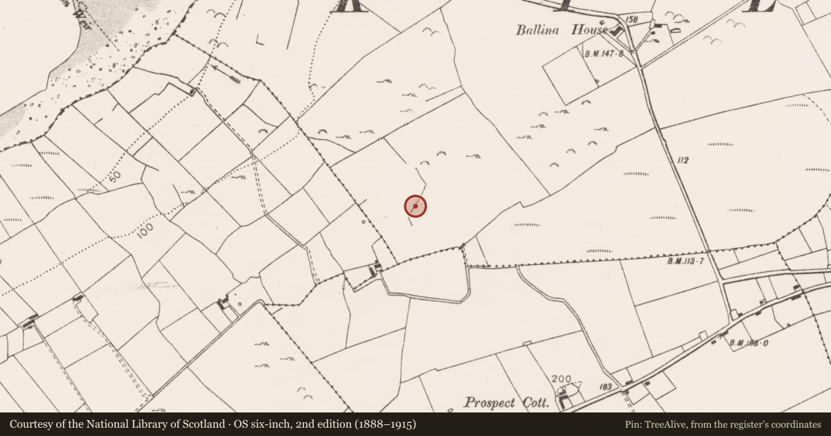 Ordnance Survey six-inch map, 2nd edition (1888–1915) covering the location of Road - road/trackway, Ballina, County Clare, with a pin at the register's coordinates