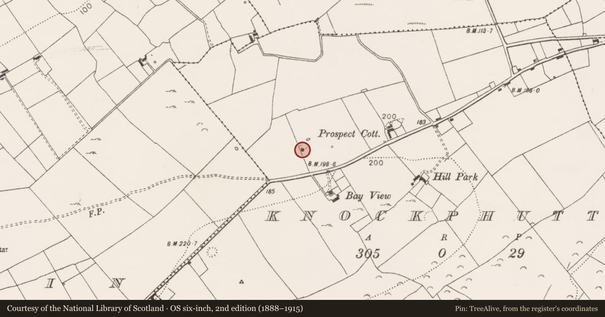 Ordnance Survey six-inch map, 2nd edition (1888–1915) covering the location of Ringfort - rath, Knockphutteen, County Clare, with a pin at the register's coordinates